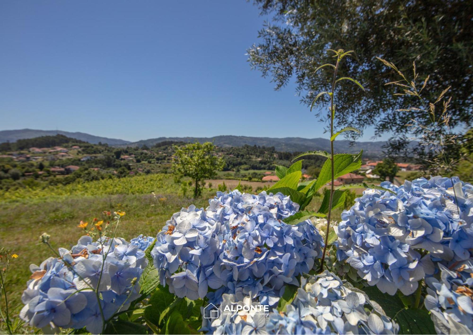 Quinta Da Costeira - Casa Azul Do Limoal By Alponte Villa Arcos de Valdevez Eksteriør billede