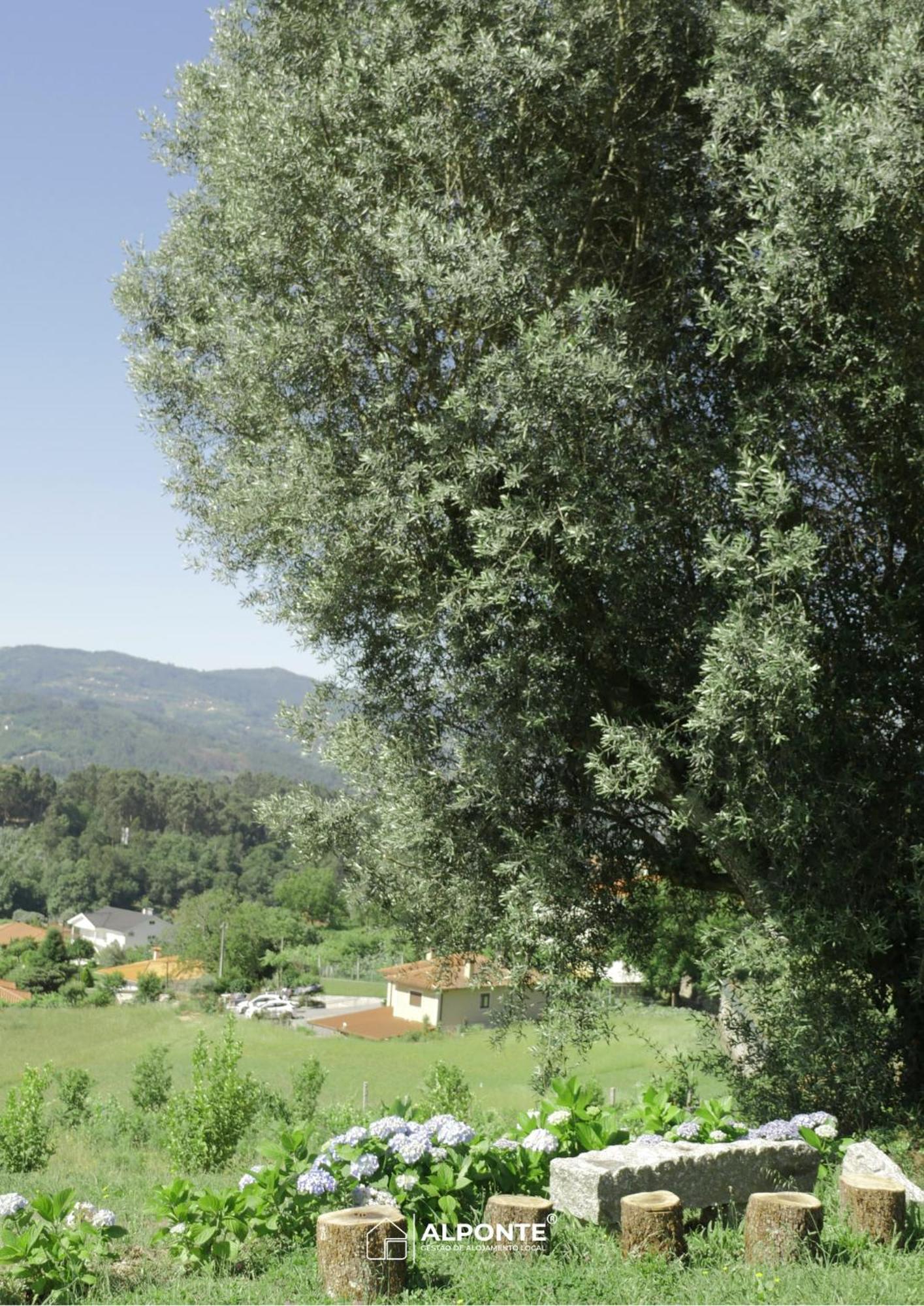 Quinta Da Costeira - Casa Azul Do Limoal By Alponte Villa Arcos de Valdevez Eksteriør billede
