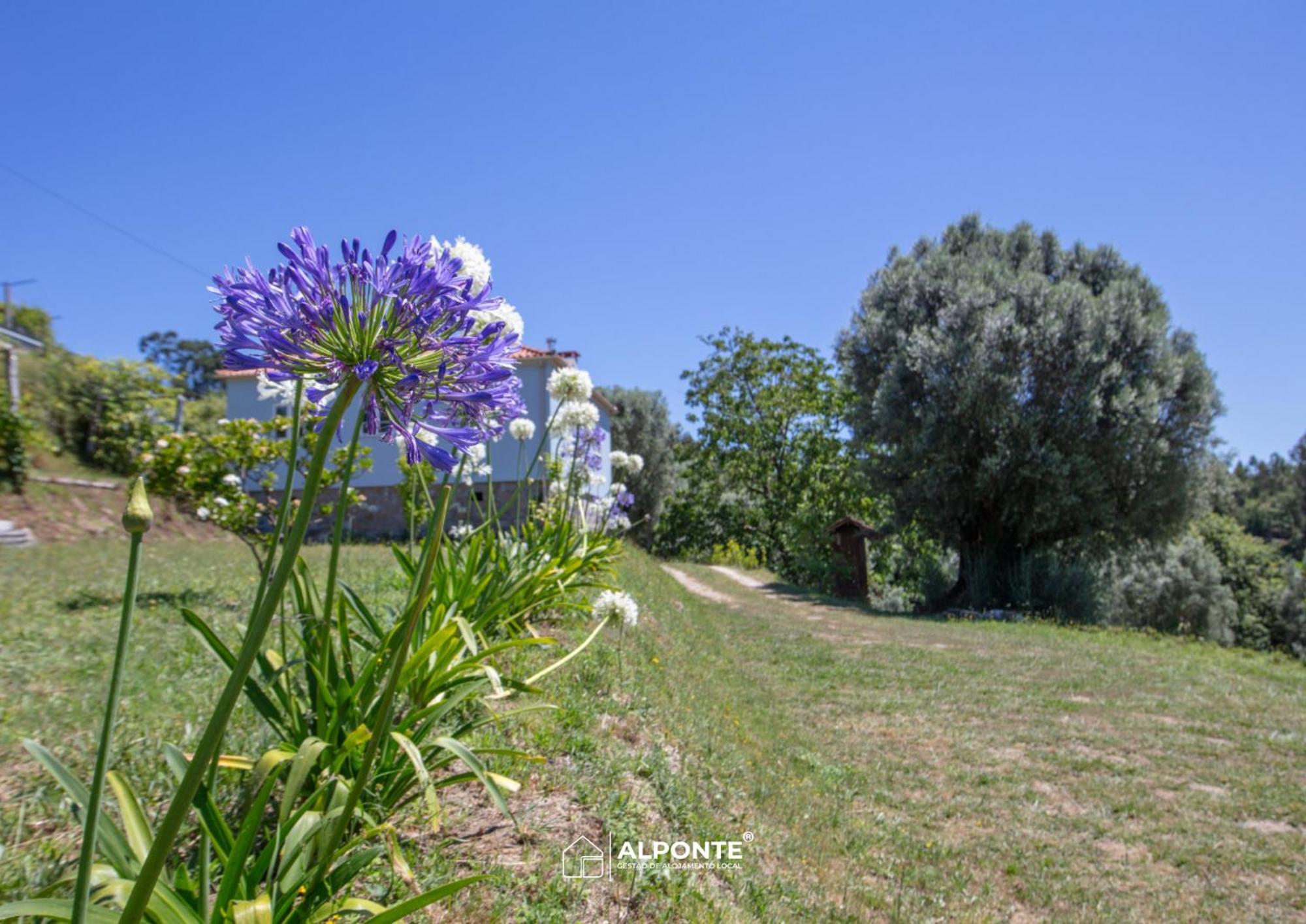 Quinta Da Costeira - Casa Azul Do Limoal By Alponte Villa Arcos de Valdevez Eksteriør billede