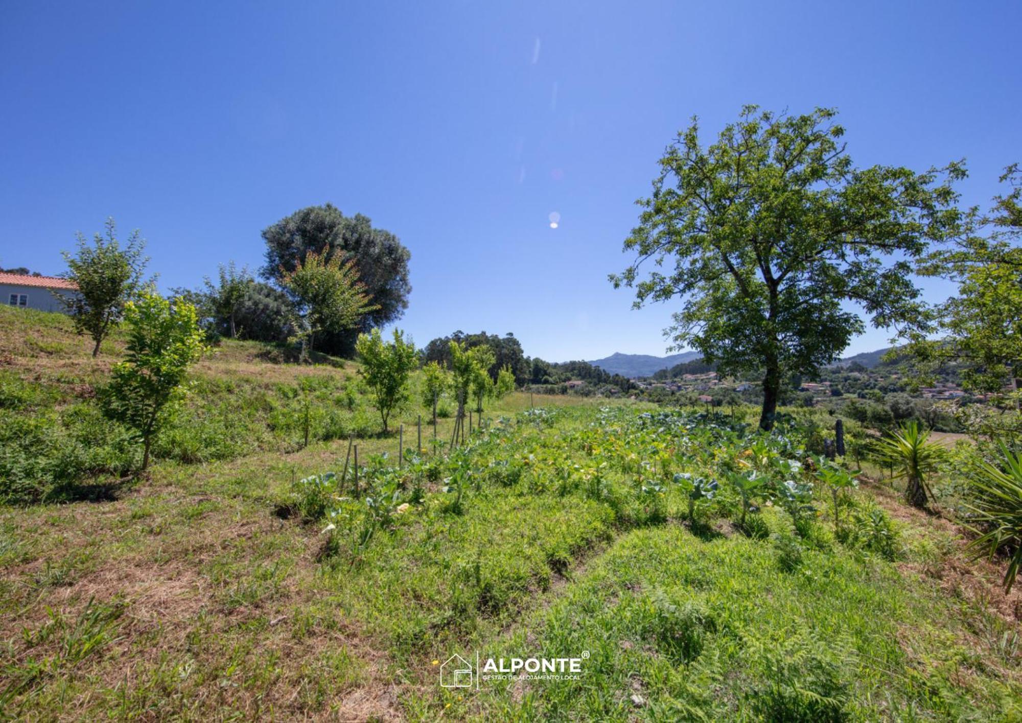Quinta Da Costeira - Casa Azul Do Limoal By Alponte Villa Arcos de Valdevez Eksteriør billede